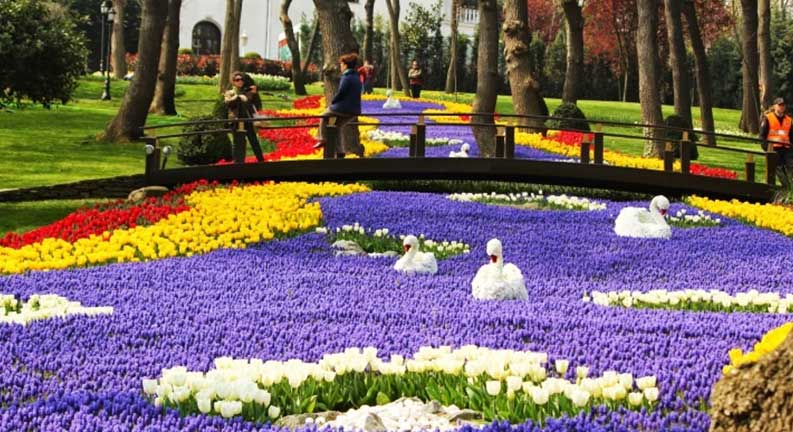 جشنواره گل لاله در استانبول